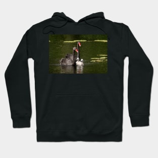 Black Swan Family, Australia Hoodie